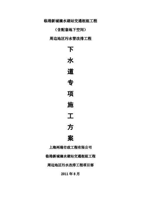 排水专项方案