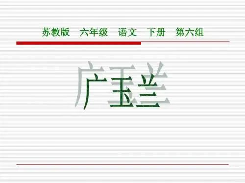 苏教版六年级下册语文《广玉兰》课件PPT