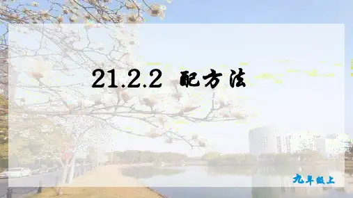 21.2.1.2  配方法  课件(共24张PPT) 人教版数学九年级上册