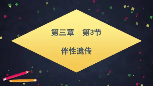 人教版高中生物必修二同步课件伴性遗传 课件