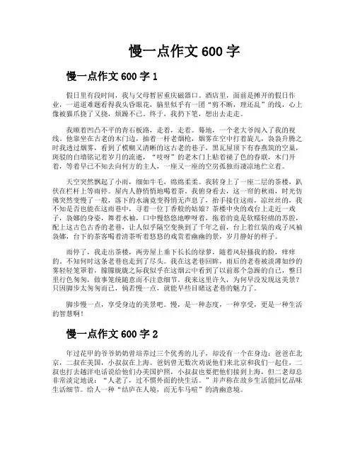 慢一点作文600字