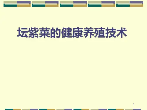 海藻的现代养殖技术PPT课件