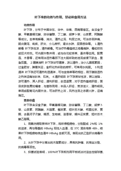 叶下珠的功效与作用、禁忌和食用方法