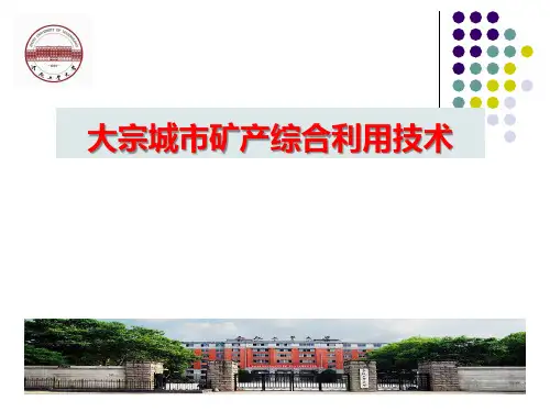 循环经济与大宗工业固废综合利用技术