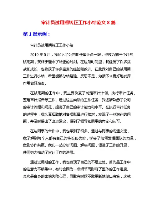 审计员试用期转正工作小结范文8篇
