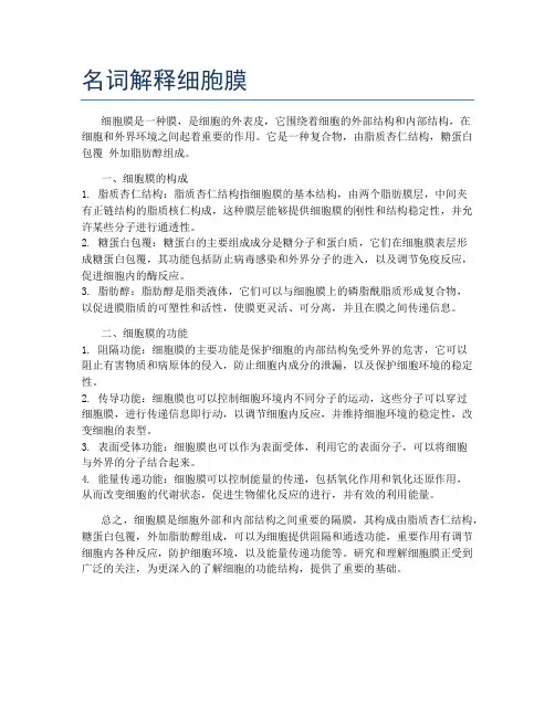 名词解释细胞膜