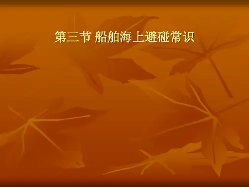 第三节 船舶海上避碰常识2PPT课件