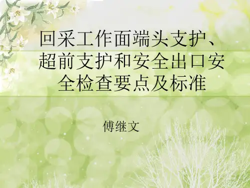 超前支护检查要点(1)