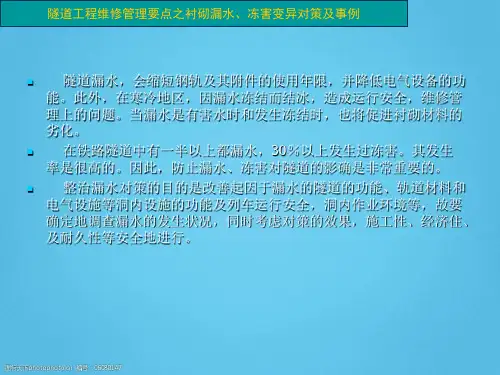 隧道工程维修管理要点之衬砌漏水、冻害变异对策及事例PPT