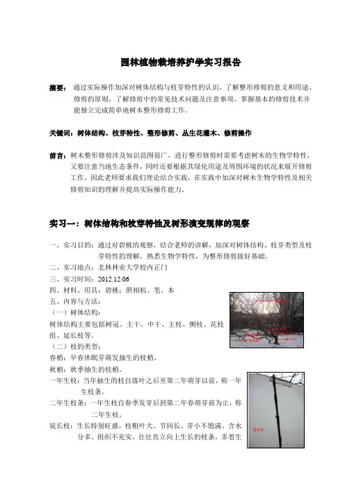 北林冬季园林植物栽培养护学实习报告
