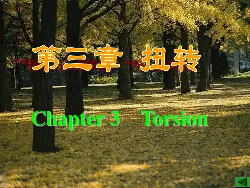 材料力学 第三章 扭转PPT课件