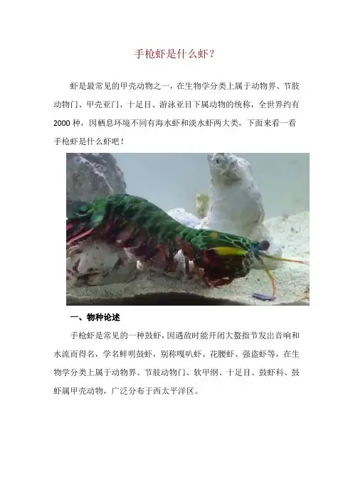 手枪虾是什么虾？