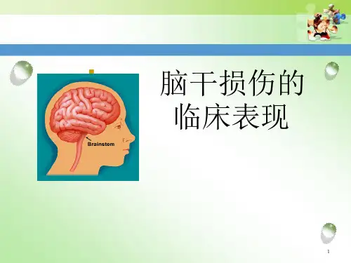 脑干损伤的临床表现ppt课件
