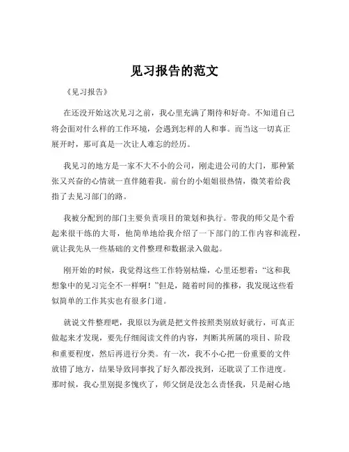 见习报告的范文