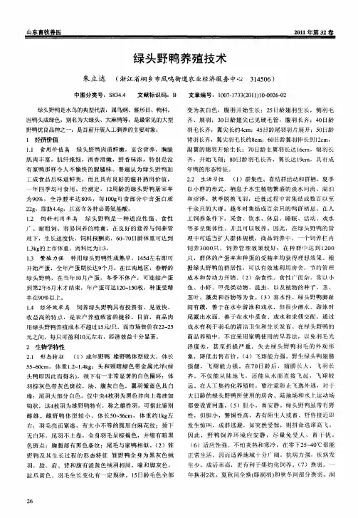 绿头野鸭养殖技术