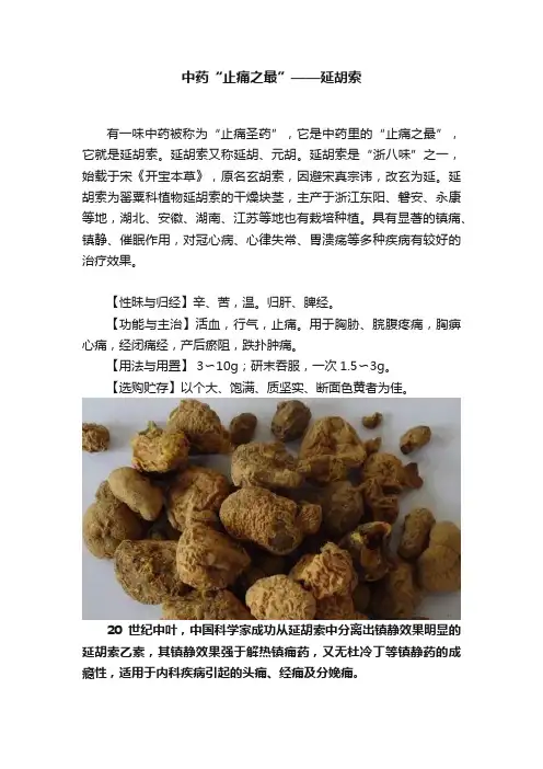 中药“止痛之最”——延胡索