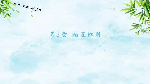 03-专项 探究弹簧弹力的大小与伸长量的关系 3年3考物理必修第一册鲁科版