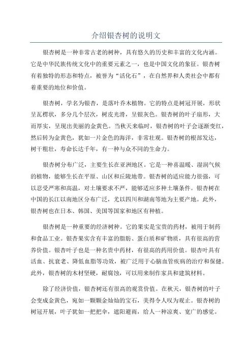 介绍银杏树的说明文