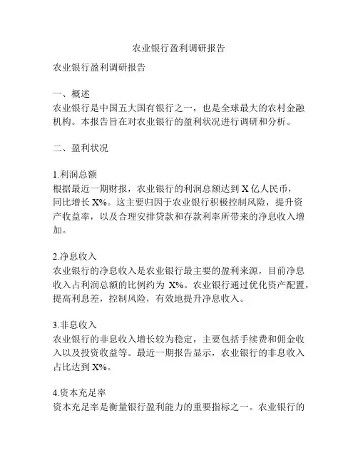 农业银行盈利调研报告