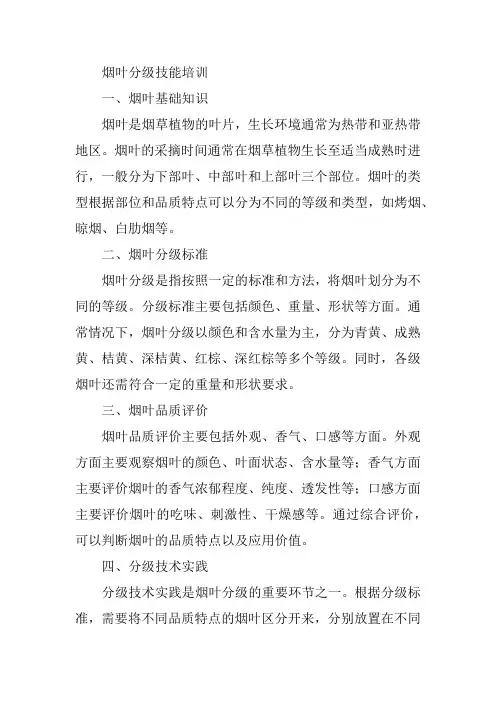 烟叶分级技能培训