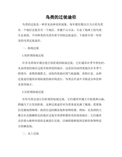鸟类的迁徙途径