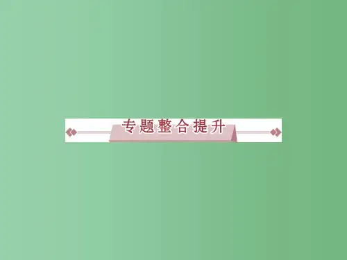 高考历史 专题六 当今世界政治格局的多极化趋势专题整合提升课件 人民版必修1