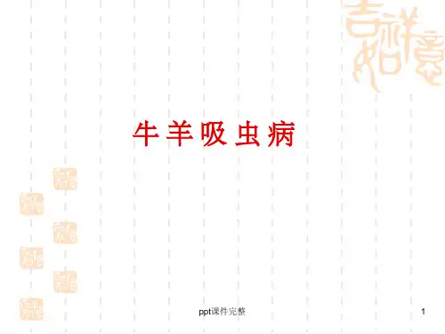 肝片吸虫ppt课件