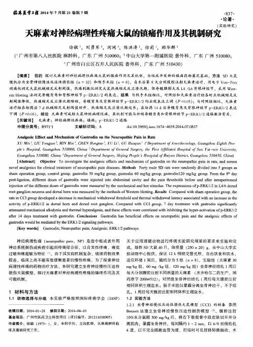 天麻素对神经病理性疼痛大鼠的镇痛作用及其机制研究