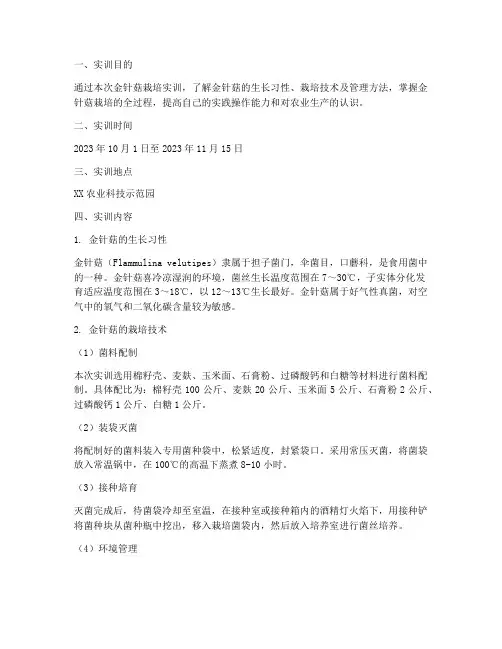 金针菇的栽培实训报告