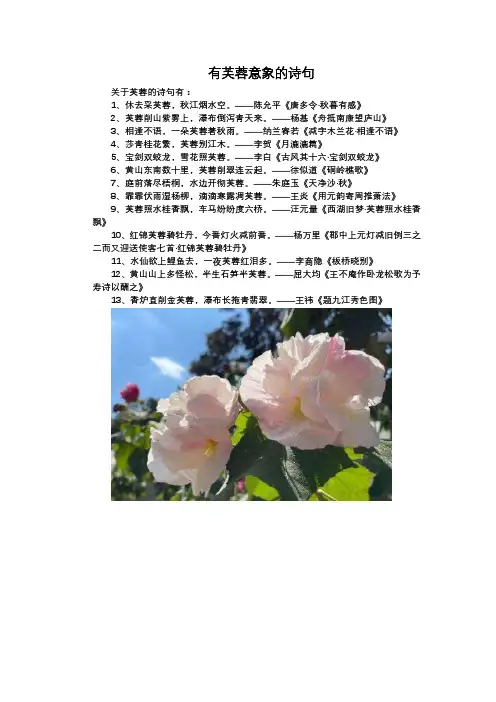 有芙蓉意象的诗句