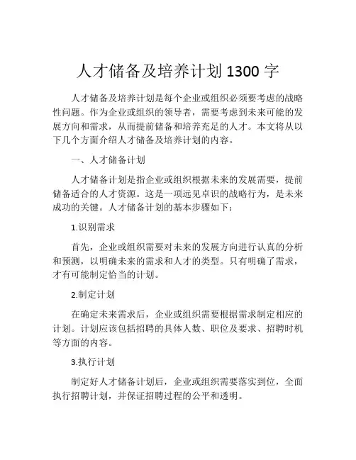 人才储备及培养计划1300字 (2)