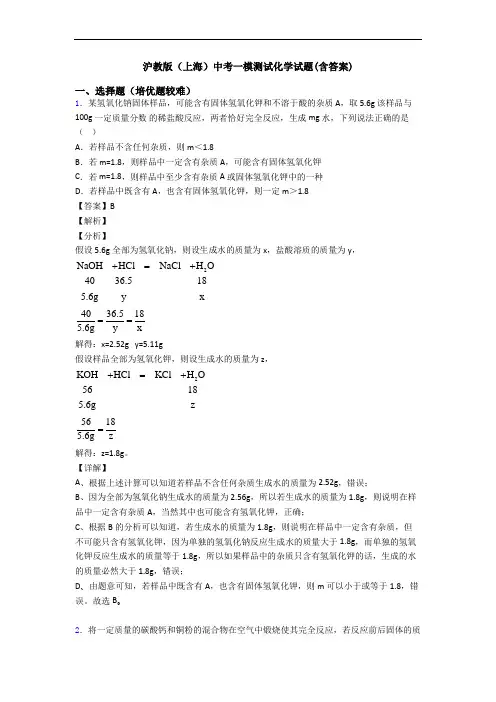 沪教版(上海)中考一模测试化学试题(含答案)