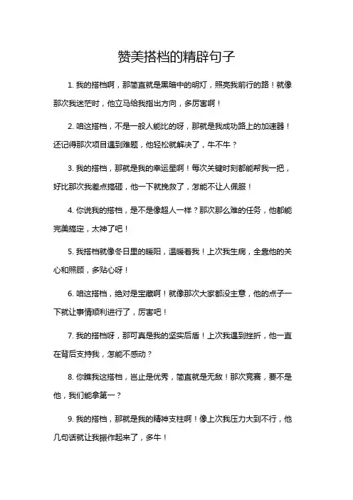 赞美搭档的精辟句子