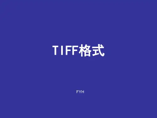 TIFF格式