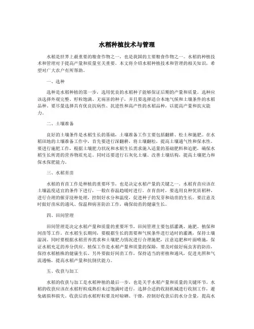 水稻种植技术与管理