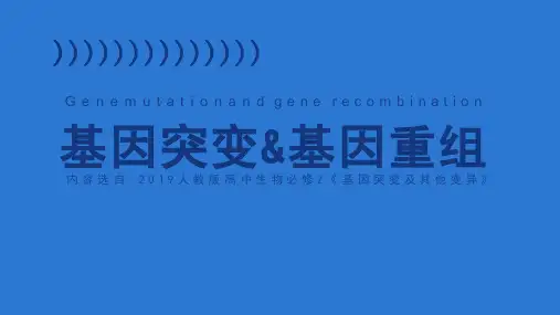 高中生物新教材第5章第1节基因突变与基因重组