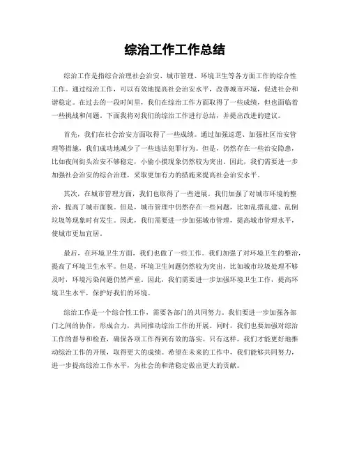 综治工作工作总结