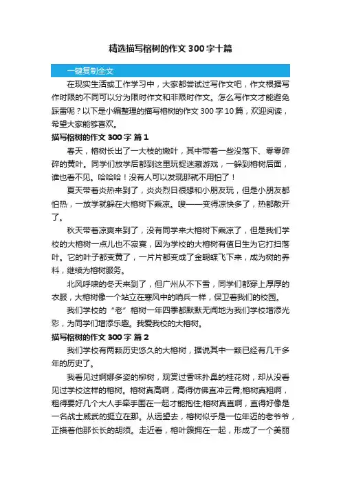 精选描写榕树的作文300字十篇