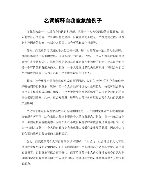 名词解释自我意象的例子