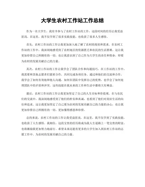 大学生农村工作站工作总结