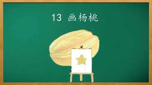 13 画杨桃 课件(共23张PPT)