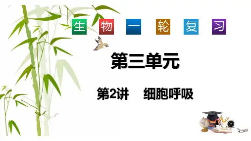 高三生物一轮复习课件3.2   细胞呼吸