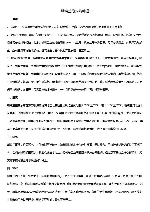 蝴蝶兰的栽培种1
