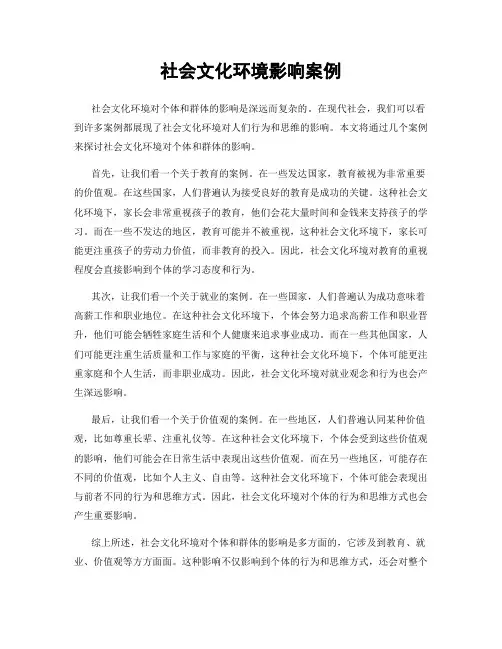 社会文化环境影响案例