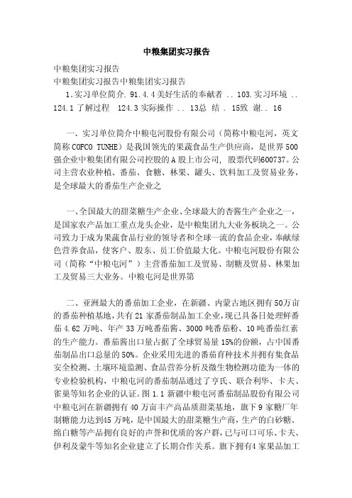 中粮集团实习报告（范文）