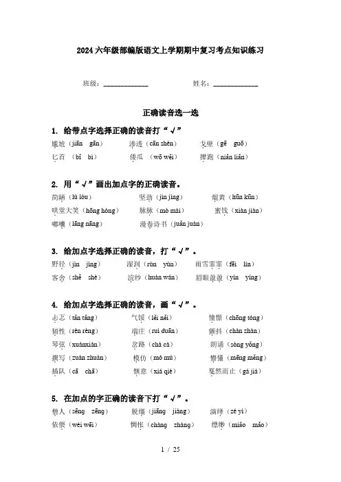 2024六年级部编版语文上学期期中复习考点知识练习