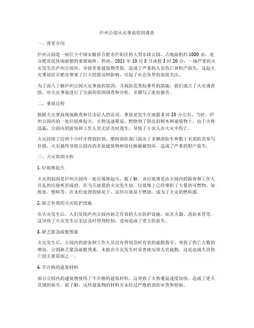 庐州公园火灾事故原因调查