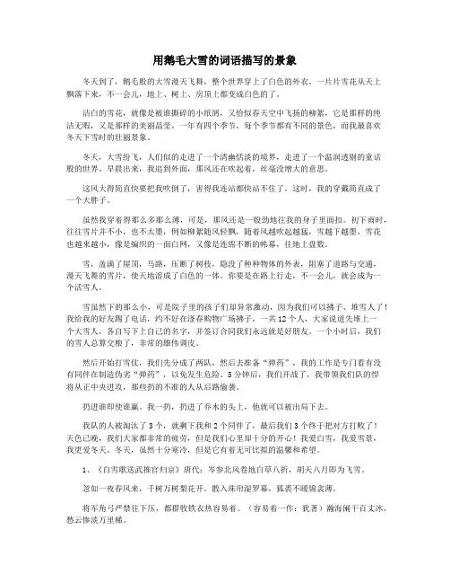 用鹅毛大雪的词语描写的景象