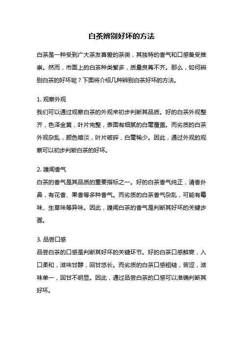 白茶辨别好坏的方法