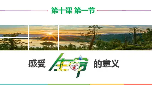 10.1 感受生命的意义 课件(共21张PPT)统编版道德与法治七年级上册